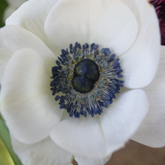 floralover